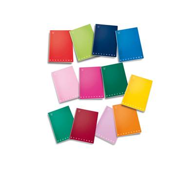 Maxiquaderno Monocromo A4,4 mm 80 gr 42 fogli - 2893