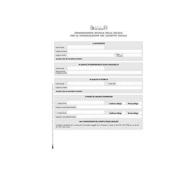 Modulo per conferimento revoca - cassetto Fiscale - 29,7 x 21 cm - conf. 10 pezzi - Edipro - E0019 - CONFE0019PZ10U - DMwebShop