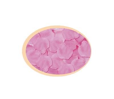 Petali sintetici - rosa - busta 144 pezzi - Big Party - 15063. - 8020834150636 - DMwebShop