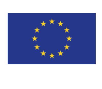 Bandiera Europa - poliestere nautico - 100 x 150 cm - Cartelli Segnalatori - BAE150 - 8871901500126 - DMwebShop