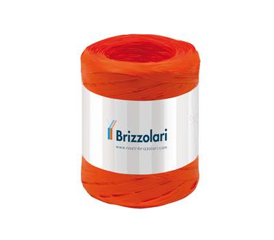 Nastro Rafia sintetica arancione 12 - 5 mm x 200 mt - Brizzolari - 01003712 - 8031653485304 - DMwebShop