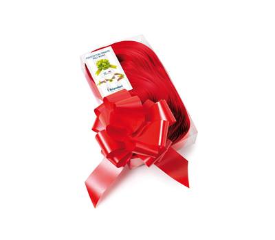 Nastri strip 6800 in polipropilene rosso 07 per fiocco autocomponibile 50 mm - 23594