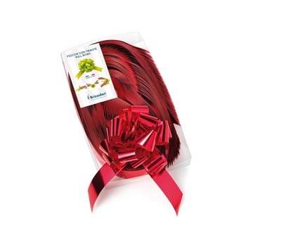 Nastro strip metal 6870 rosso 07,31 mm diametro 13 cm Brizzolari 00314007 - 23617