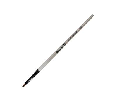 Pennello sintetico Graduate - lingua gatto - manico lungo - n. 6 - conf. 3 pezzi - Daler Rowney - D212167006 - 5011386081397 - DMwebShop Pennello sintetico Graduate - lingua gatto - manico lungo - n. 6 - conf. 3 pezzi - Daler Rowney - D212167006 - 5011386081397 - DMwebShop