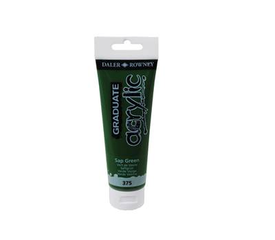 Colore acrilico fine Graduate - 120 ml - verde vescica - Daler Rowney - D123120375 - 5011386062723 - DMwebShop