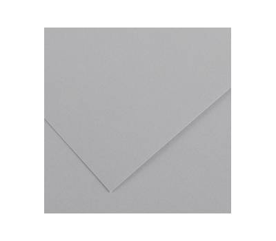 Foglio Colorline - 70 x 100 cm - 220 gr - grigio chiaro - conf. 25 pezzi - Canson - 200041221 - 85592A - DMwebShop