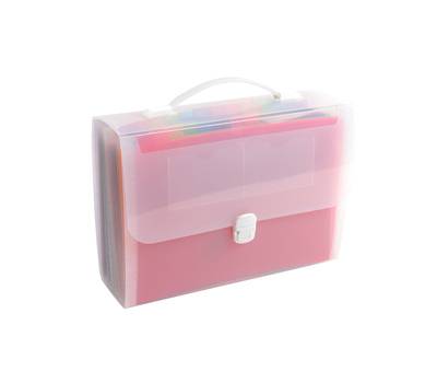 Classificatore valigetta con maniglia - cristallo - 33 x 29 cm - 24 tasche - Exacompta - 55698E - 3130630556985 - DMwebShop