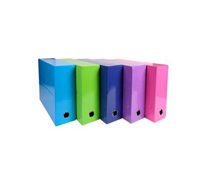 Scatola progetto Iderama - dorso 90 mm - 5 colori assortiti tenui - 25 x 33 cm - conf. 5 pezzi - Exacompta - 89929E - 3130630899297 - DMwebShop