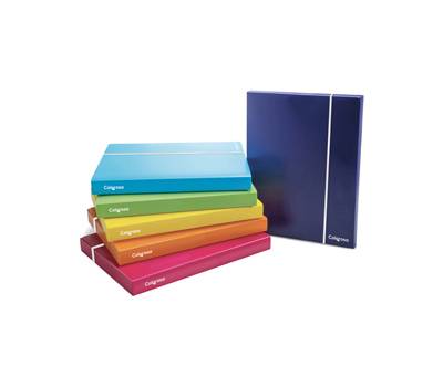 Cartella con elastico - PPL - 26,8 x 35,8 cm - colori assortiti - dorso 30 mm - conf. 6 pezzi - Colorosa - 362300.S - 8004428045331 - DMwebShop