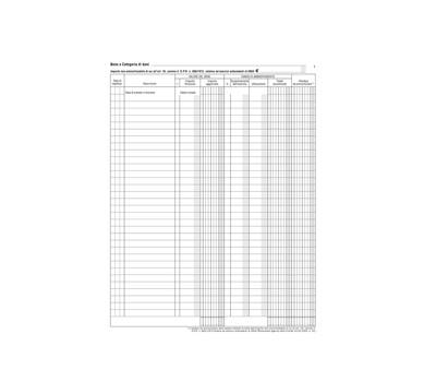 Registro beni ammortizzabili - 45 pagine numerate - 31 x 24,5 cm - Data Ufficio - DU136800000 - 8008842531784 - DMwebShop
