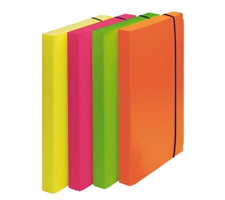 Cartella progetto Shocking File - con elastico - 24 x 35 cm - colori fluo assortiti - Fellowes 1028101