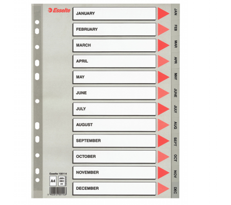 Separatore mensile Gen-Dic - PPL - A4 - grigio - Esselte 100114