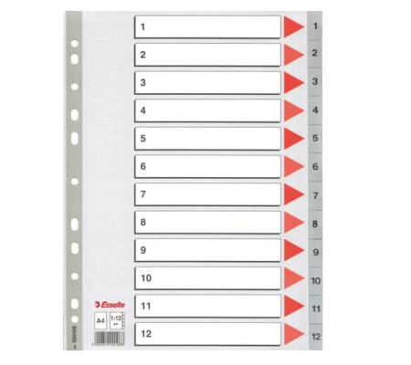 Separatore numerico 1/12 - PPL - A4 - 22,5 x 29,7 cm - grigio - conf. 10 pezzi - Esselte - 100106 - 5902812001068 - DMwebShop