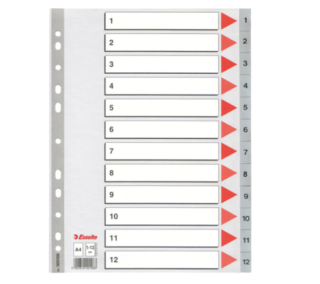 Separatore numerico 1/12 - PPL - A4 - 22,5 x 29,7 cm - grigio - Esselte 100106
