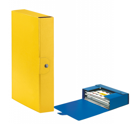 Scatola progetto Eurobox - dorso 6 cm - 25 x 35 cm - giallo - Esselte - 390326090 - 8004157326091 - DMwebShop