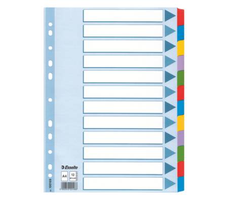 Intercalare Mylar - 12 tasti colorati - A4 - Esselte - 100169 - 5902812221466 - DMwebShop