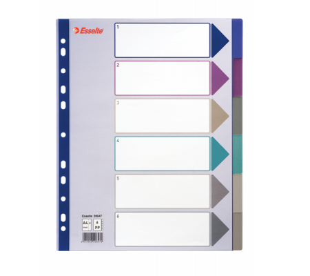 Separatore - 6 tasti - PP traslucido - A4 maxi - 24,5 x 29,7 cm - multicolore - Esselte  - 20647 - DMwebShop
