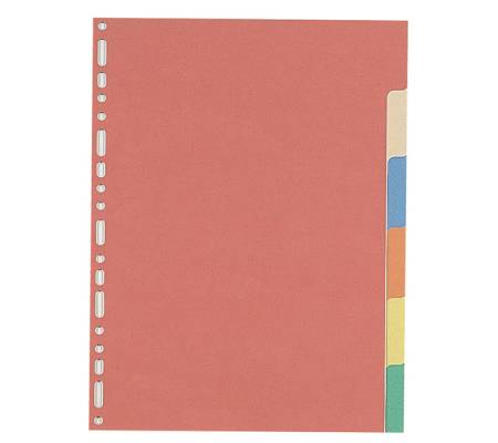 Separatore - 6 tacche - cartoncino colorato 240 gr - 21 x 29,7 cm - multicolore - Favorit - 100204883 - 8006779199305 - DMwebShop