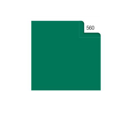 Carta velina - 50 x 70 cm - 20 gr - verde 560 - busta 26 fogli - Rex Sadoch - KV106560 - 4005063106122 - DMwebShop