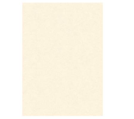 Diplomi in pergamena - stampa offset - A3 - 160 gr - neutro avorio - conf. 10 pezzi - Kartos - OD14618200S10 - 8009162305376 - DMwebShop