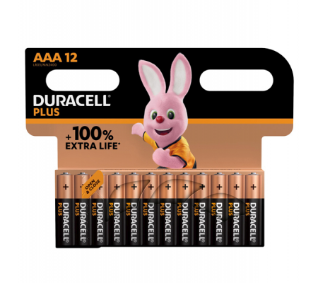 Blister 12 pile MiniStilo AAA - Plus 100 - Duracell - DU0221 - 5000394141230 - DMwebShop