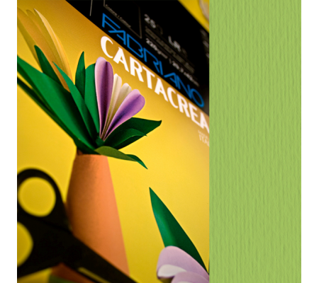 Cartoncino CartaCrea - 35 x 50 cm - 220 gr - verde pisello - blister 10 fogli - Fabriano - 46435110 - 8001348127635 - DMwebShop