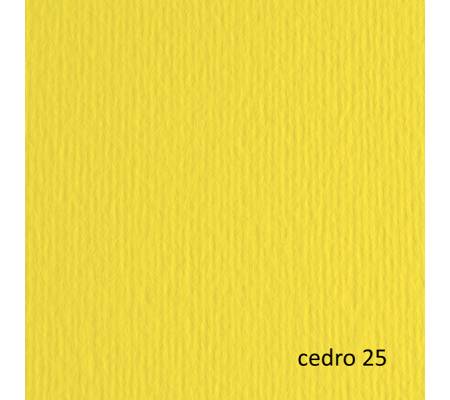Cartoncino Elle Erre - 50 x 70 cm - 220 gr - cedro 25 - blister 20 fogli - Fabriano - 42450725 - 8001348146629 - DMwebShop