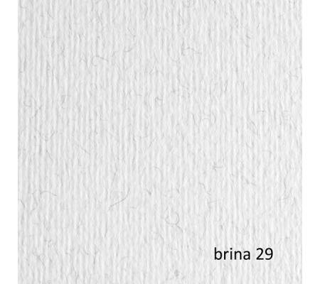 Cartoncino Elle Erre - 50 x 70 cm - 220 gr - brina 29 - blister 20 fogli - Fabriano - 42450729 - 8001348146612 - DMwebShop