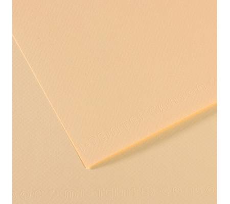 Foglio Mi-Teintes - A4 - 160 gr - avorio - conf. 25 pezzi - Canson - C31032S007 - 92871CNF01 - DMwebShop
