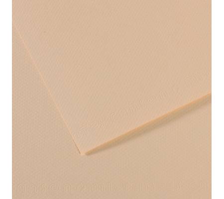Foglio Mi-Teintes - A4 - 160 gr - conchiglia - conf. 25 pezzi - Canson - C31032S008 - 92872A - DMwebShop