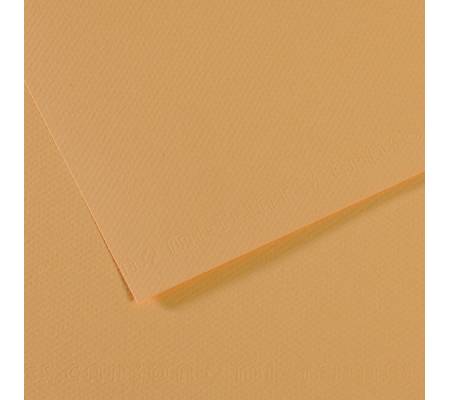 Foglio Mi-Teintes - A4 - 160 gr - canapa chiara - conf. 25 pezzi - Canson - C31032S013 - 3148950041326 - DMwebShop