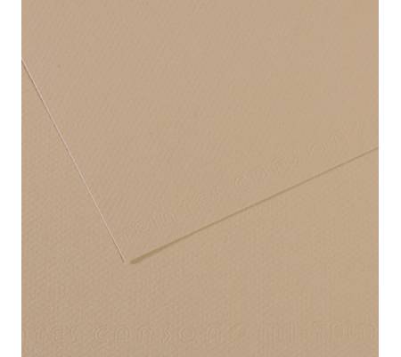 Foglio Mi-Teintes - A4 - 160 gr - grigio trianon - conf. 25 pezzi - Canson - C31032S014 - 92883A - DMwebShop