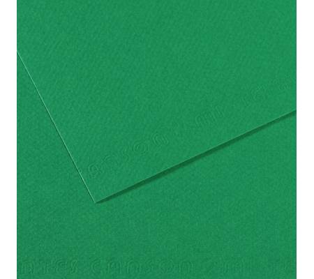 Foglio Mi-Teintes - A4 - 160 gr - verde biliardo - conf. 25 pezzi - Canson - C31032S029 - 92897CNF01 - DMwebShop
