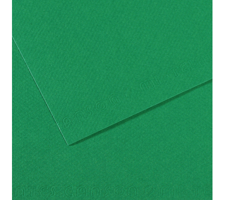 Foglio Mi-Teintes - A4 - 160 gr - verde biliardo - Canson - C31032S029 - DMwebShop