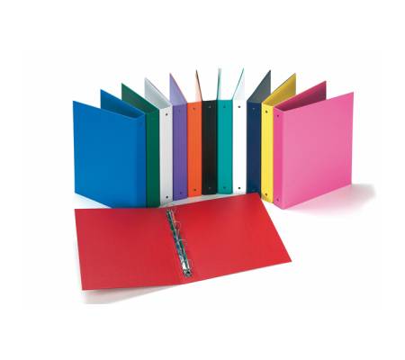 Raccoglitore Europa - 4 anelli tondi 30 mm - dorso 4 cm - f.to utile 22 x 30 cm - colori assortiti - conf. 24 pezzi - Favorit - 100460431 - 8006779271858 - DMwebShop