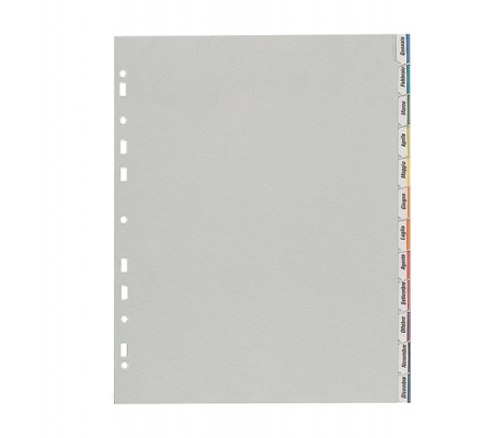 Separatore - 12 tacche personalizzabili - PP - 22 x 30 cm - grigio - Favorit 400006688