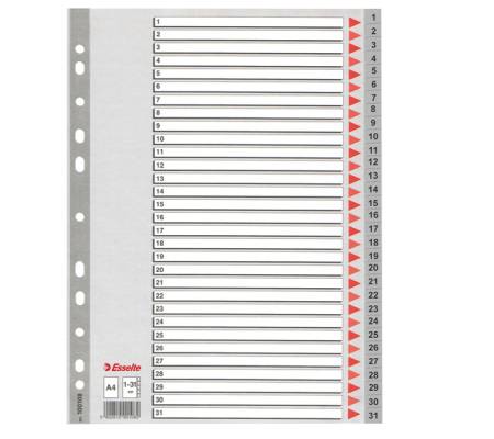Separatore numerico 1/31 - PPL - A4 - grigio - Esselte - 100108 - 5902812001082 - DMwebShop