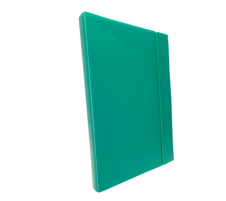 Cartella progetto con elastico - 24 x 35 cm - dorso 3 cm - verde - Fellowes U140-VE
