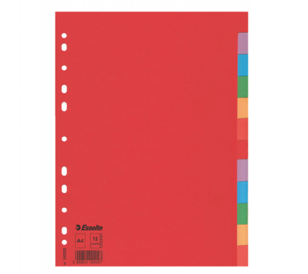Separatore Economy - 12 tasti - cartoncino colorato 160 gr - A4 - multicolore - Esselte - 100202 - 5902812002027 - DMwebShop