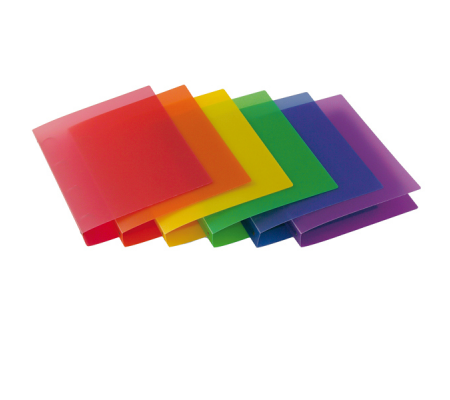 Raccoglitore Myto - 4 anelli tondi 17 mm - dorso 2,5 cm - 22 x 30 cm - colori assortiti - Sei Rota 36901799
