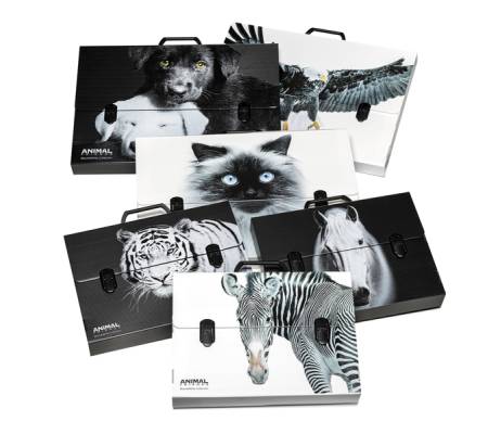 Valigetta polionda Animal Friends - 38 x 53 cm - dorso 5 cm - fantasie assortite - Colorosa - 6438535200BW - 8011791043130 - DMwebShop