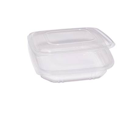 Contenitori in PP - con coperchio incernierato - 21,5 x 21,5 x 3,4 cm - pack 50 pezzi - Europack - 48431022 - 8007626780110 - DMwebShop