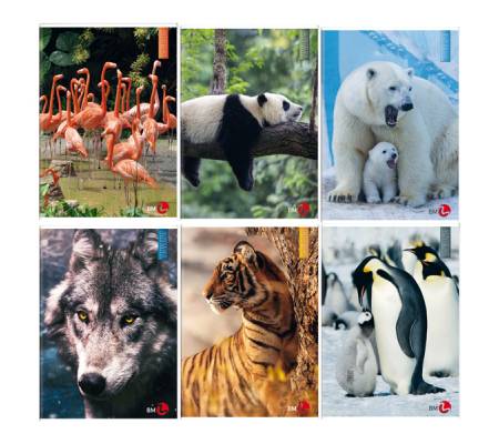 Maxiquaderno Animal fantasia A4 40-2 fogli 80 gr 10 mm BM 0110382 - 25401