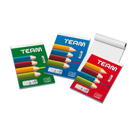Bocco note Team - 5 mm - 150 x 210 mm - 50 gr - 50 fogli - conf. 10 pezzi - Blasetti - 1003 - 8007758012127 - DMwebShop