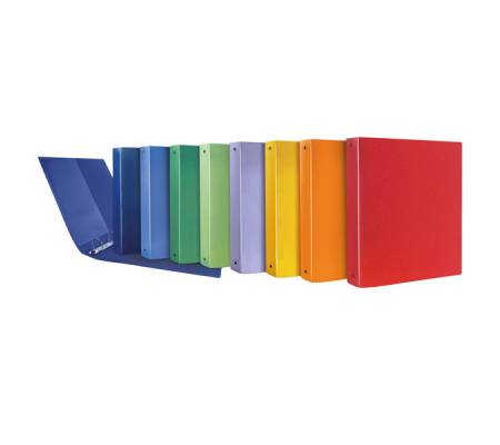 Raccoglitore Terra - 4 anelli tondi PP riciclato - Ø 30 mm - f.to utile 22 x 30 cm - colori assortiti - conf. 10 pezzi - Sei Rota - 36933190 - 8004972030722 - DMwebShop