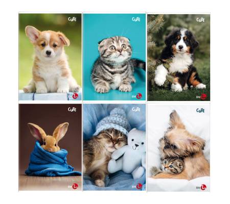 Maxiquaderno Cute fantasia - A4 - 40+2 fogli - 80 gr - 5 mm - con margine - conf. 10 pezzi - BM - 0110390 - 8008234103902 - DMwebShop