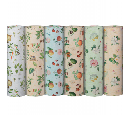 Carta regalo Eco Botanica - 70 x 100 cm - 65 gr - 100 fogli - Rex Sadoch - EC400VO1 - DMwebShop