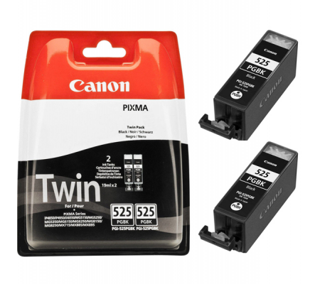 Scatola 2 cartucce ink - nero - 339 pagine cad - Canon - 4529B010 - DMwebShop