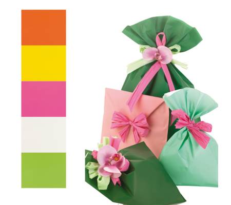 Buste regalo Mat Pearly B in PPL assortimento 5 colori - 16 x 25 cm - conf. 100 buste - PNP - UD805PRR B 16X25 - 8013170540261 - DMwebShop