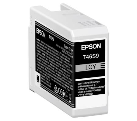 Cartuccia UltraChrome Pro 10 - grigio - 25 ml - Epson - C13T46S900 - 8715946681009 - DMwebShop